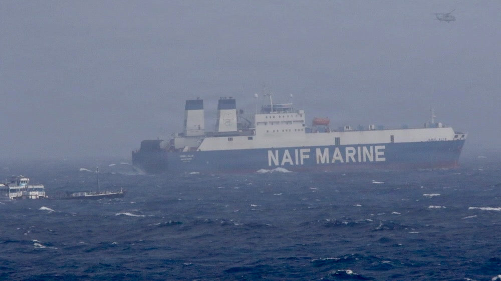14 Seeleute von Rettungsinsel im Arabischen Meer gerettet