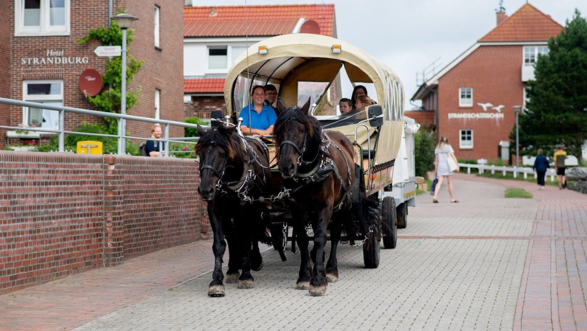 Baltrum will Insel der Pferdekutschen bleiben - Ankerherz Verlag
