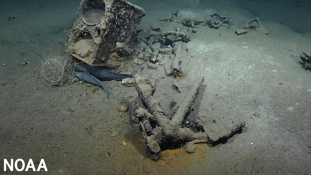 Forscher entdecken 207 Jahre altes Walfangschiff im Golf von Mexiko - Ankerherz Verlag