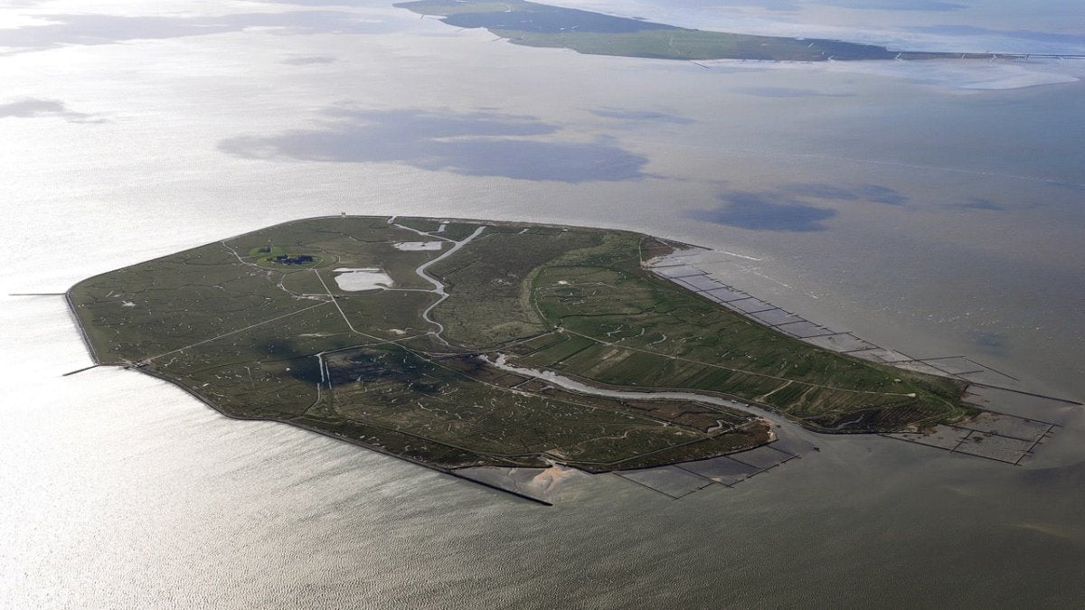 Hallig Gröde nicht mehr alleine kleinste Gemeinde Deutschlands - Ankerherz Verlag