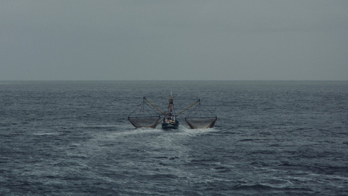Kutter sinkt vor Schiermonnikoog – drei Fischer gerettet - Ankerherz Verlag