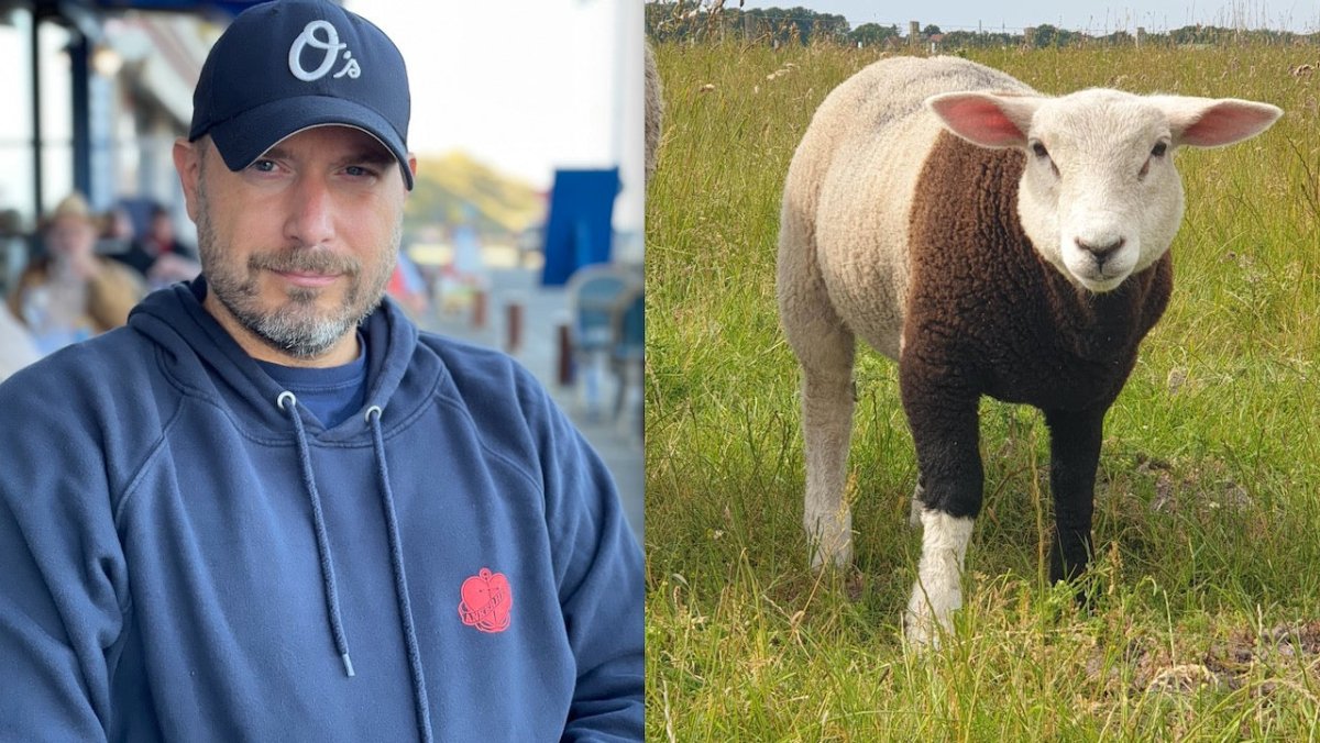 Stefans Geschichten vom Meer: das Schaf Pulli und die Trolle - Ankerherz Verlag