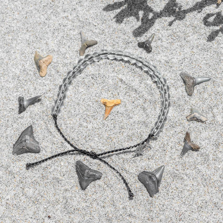 4Ocean Armband Hai – Verpackung und Produktdetails