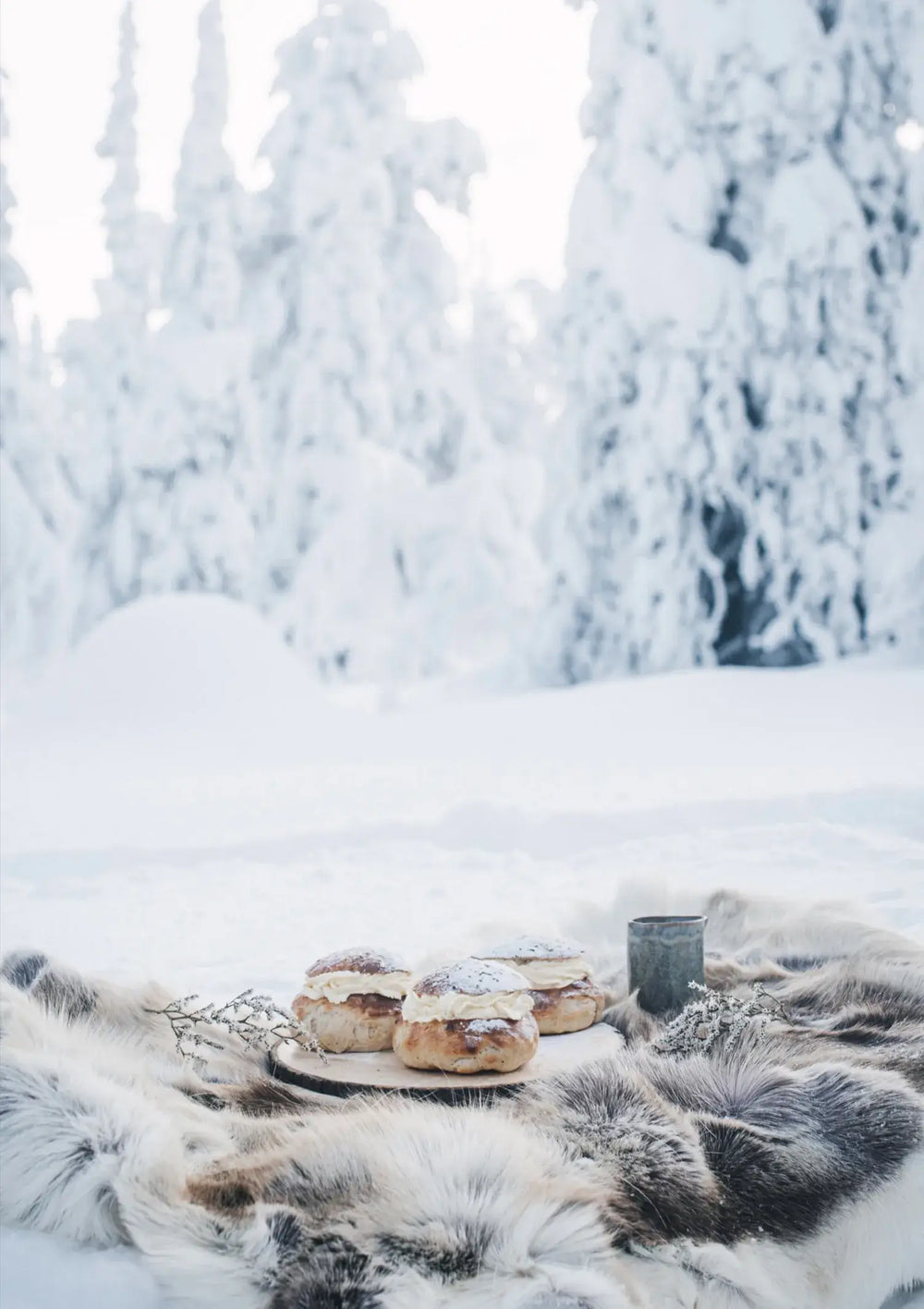 Nordisches Winter-Kochbuch