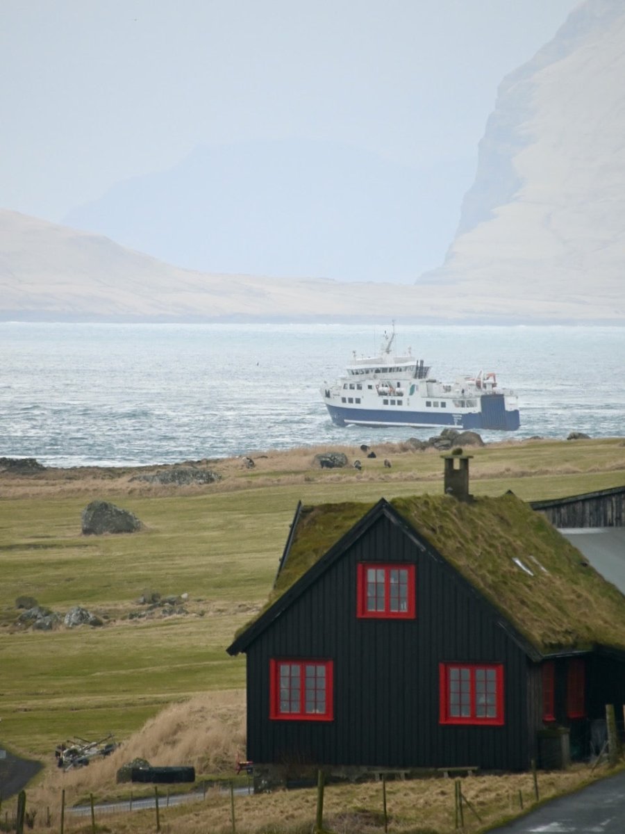 SKUA-TOUR November 2024 - Mit dem Schiff nach Island - Ankerherz Verlag